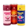 CannaBuddy Delta 9 THC Seltzer – Variety