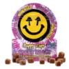 Happy-Caps-x-Road-Trip-Microdosed-Mushroom-Gummies-Berry-Blast-combo.webp Happy Caps x Road Trip – Microdosed Gummies – Berry Blast