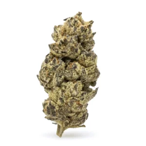 High-THCa-Flower-Black-Cherry-Soda-Bud.webp THCa Flower Black Cherry Soda
