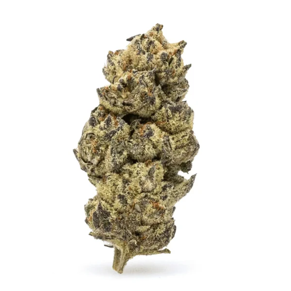 High-THCa-Flower-Black-Cherry-Soda-Bud.webp THCa Flower Black Cherry Soda