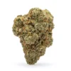 High-THCa-Flower-Georgia-Pie-Bud.webp THCa Flower Georgia Pie