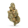 High-THCa-Flower-Mendo-Breath-Bud.webp THCa Flower Mendo Breath
