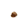 HolistaPet-CBD-Calming-Soft-Chews-for-Dogs-300-mg-Total-CBD-Piece.webp HolistaPet CBD Calming Soft Chews for Dogs (300 mg Total CBD)