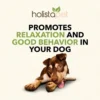 Holistapet-CBD-Calming-Soft-Chews-for-Dogs-Promotes.webp HolistaPet CBD Calming Soft Chews for Dogs (300 mg Total CBD)