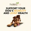 HolistaPet CBD Mobility Soft Chews for Dogs (300 mg Total CBD)