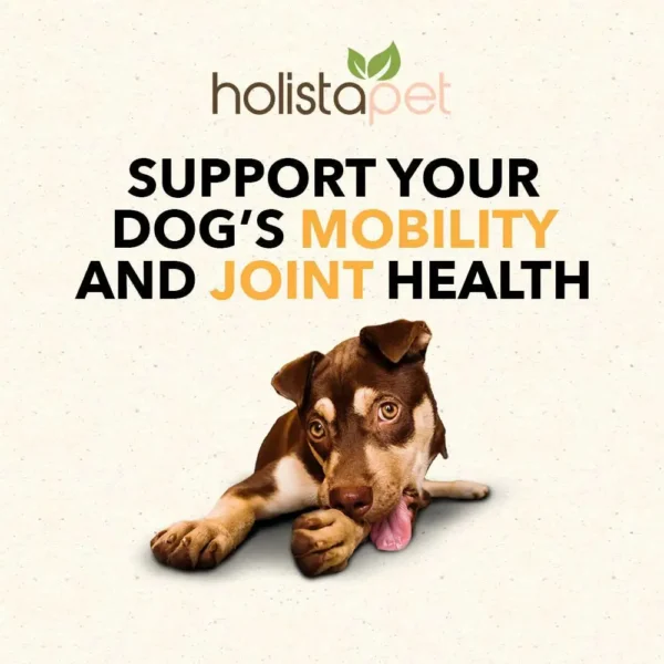 HolistaPet CBD Mobility Soft Chews for Dogs (300 mg Total CBD)