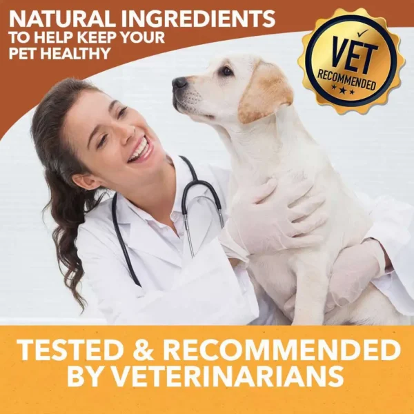 HolistaPet CBD Mobility Soft Chews for Dogs (300 mg Total CBD)