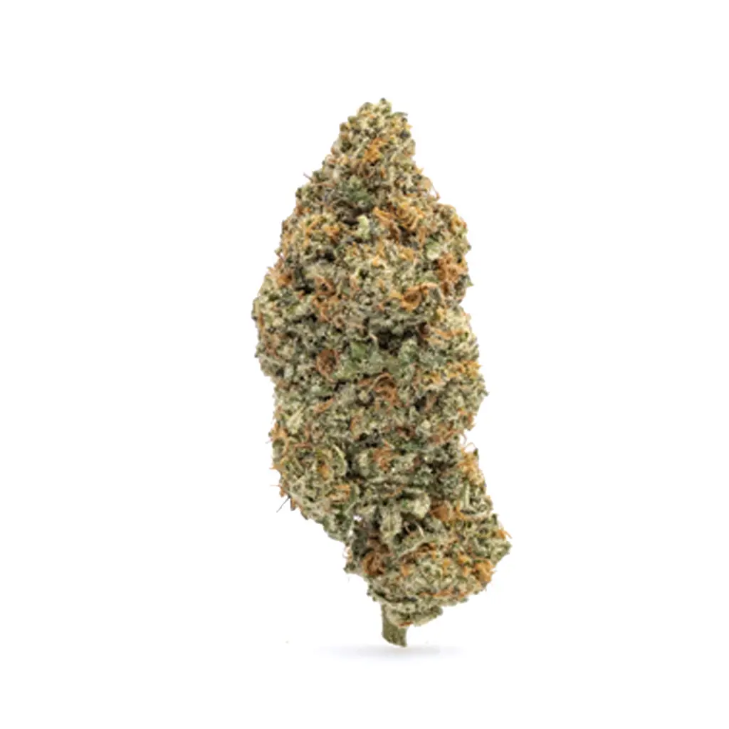 Night Walker cannabis flower
