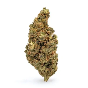 THCa-Flower-Amnesia-Haze-Bud-.webp THCa Flower Amnesia Haze