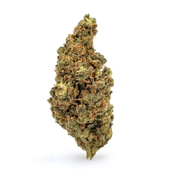 THCa Flower Amnesia Haze