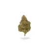 THCa-Flower-Northern-Lights-Bud-1.webp THCa Flower Northern Lights