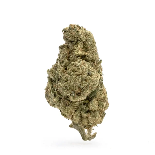 THCa-Flower-OG-Kush-Bud.webp Simply the Best Collection