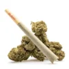 THCa-Flower-Pre-Roll-Durban-Posion-preroll-w-buds-.webp THCa Flower Pre-Roll Uncle Snoop