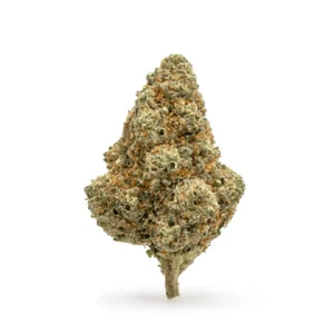 THCa-Flower-Tangie-Bud.webp THCa Flower Tangie