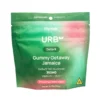 Urb Delta 9 THC Gummies – Prickly Pear Watermelon (350 mg Total Delta 9 THC)