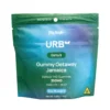Urb Delta 9 THC Gummies – Sour Blueberry (350 mg Total Delta 9 THC)