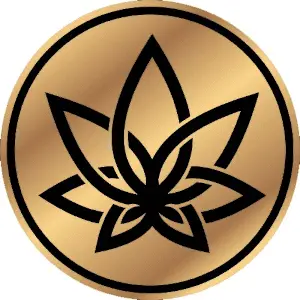 3Chi