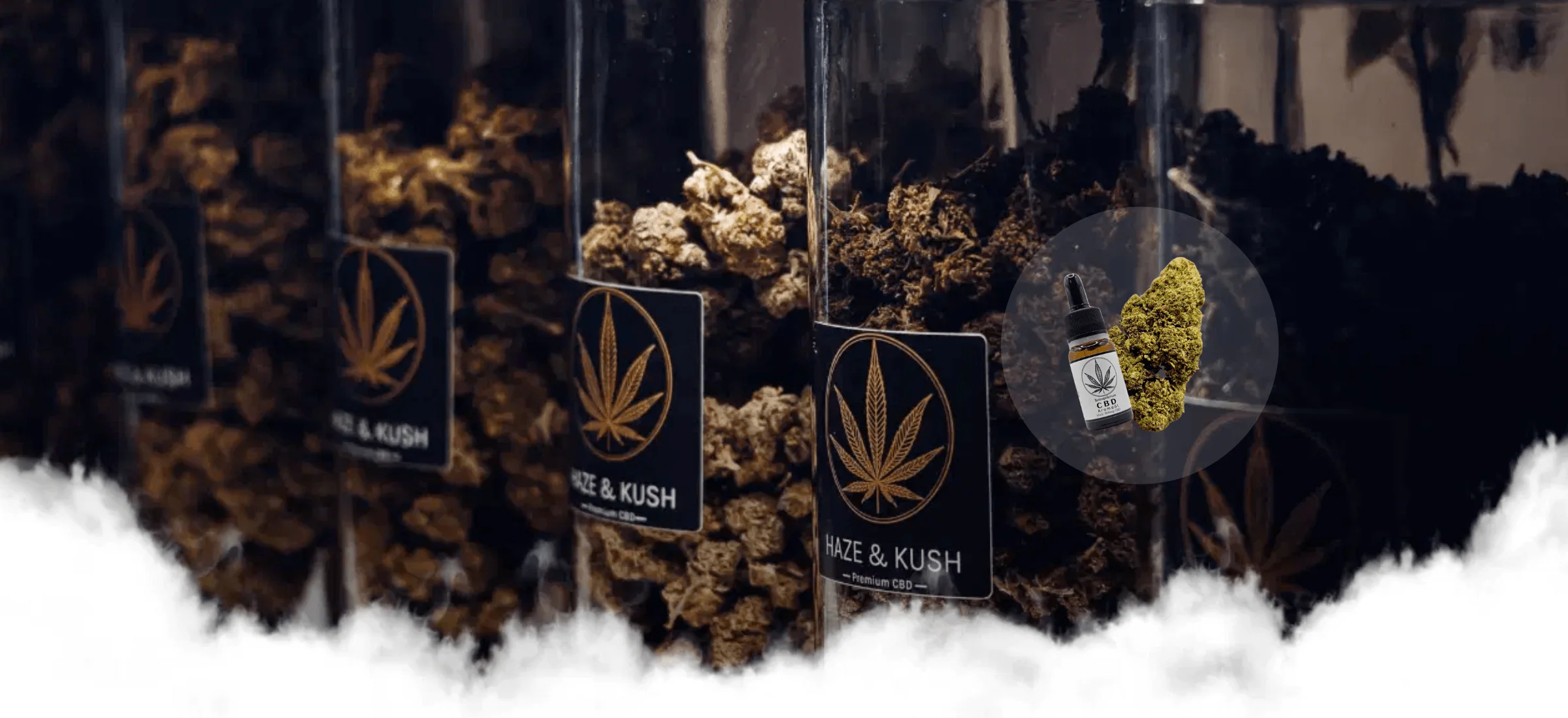 Premium cannabis flower displayed inside a Haze and Kush dispensary